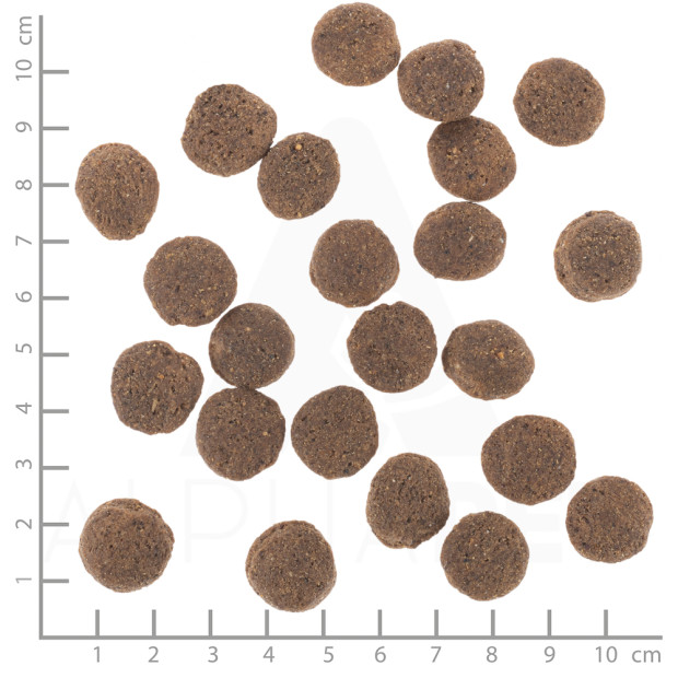 taille-des-croquettes