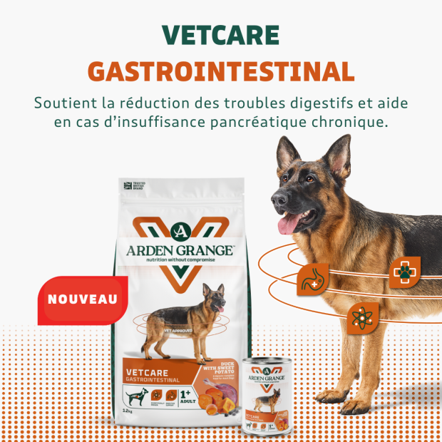 Croquettes VetCare Gastrointestinal Arden Grange