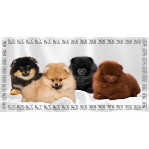 Serviette Microfibre Haute Performance Tauro Pro Line