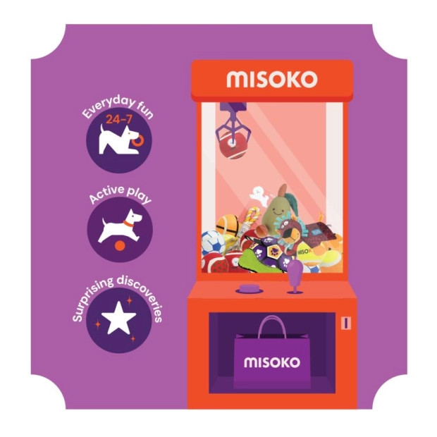 Jouet Renard à Picots en Latex pour Chien - Résistant et Ludique 20 cm