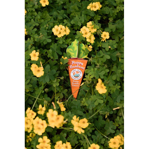 Happy Bonbons - Cooka's Cookies