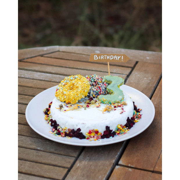 Mélange pour Gâteau d'Anniversaire au Poulet pour chiens