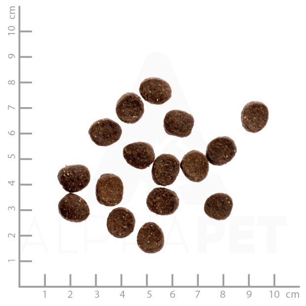 Wildes Land Classic Adult Poulet Croquettes Sans Céréales pour Chat