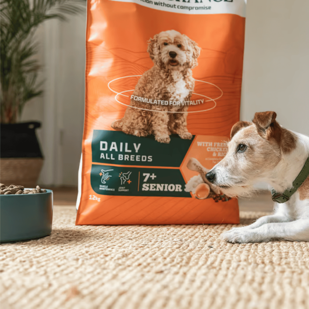 Croquettes adulte senior Arden Grange au poulet frais