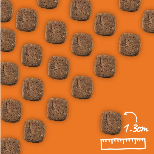 Croquettes adulte senior Arden Grange au poulet frais
