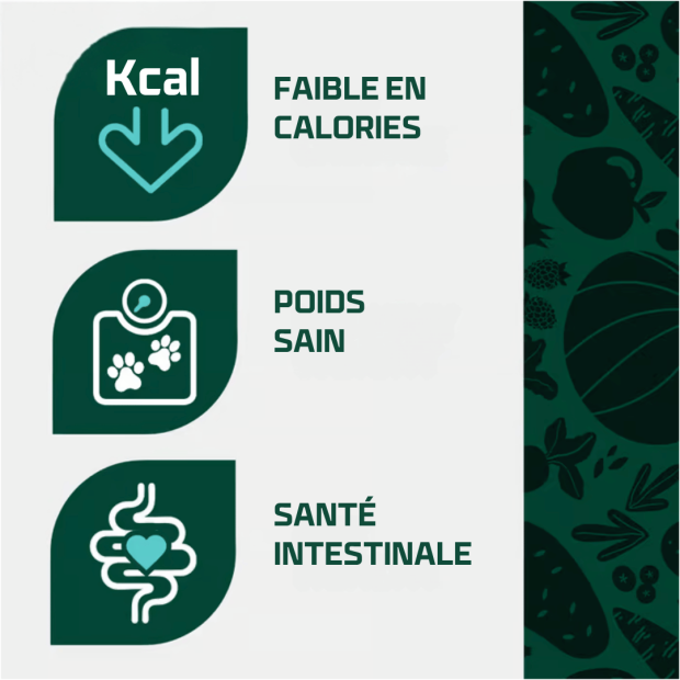 Croquettes adulte light Arden Grange, recette allégée