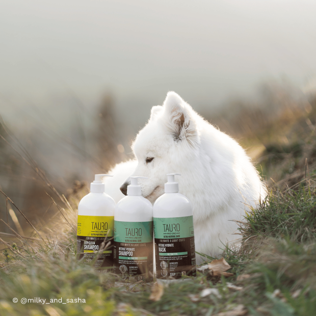 Pack soin chien blanc 3 étapes - Tauro Pro Line