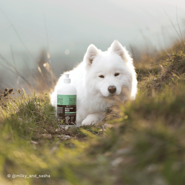 Masque nourrissant chien blanc Tauro Pro Line