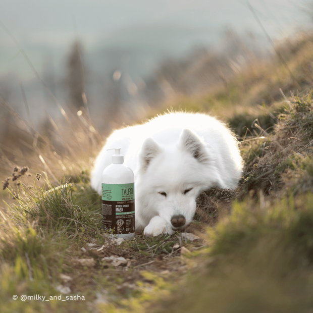 Masque nourrissant chien blanc Tauro Pro Line