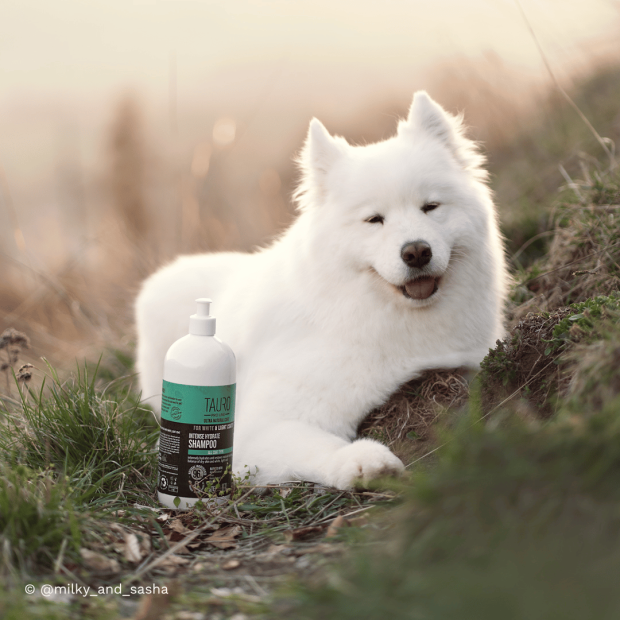 Shampoing hydratation intense chien blanc Tauro Pro Line