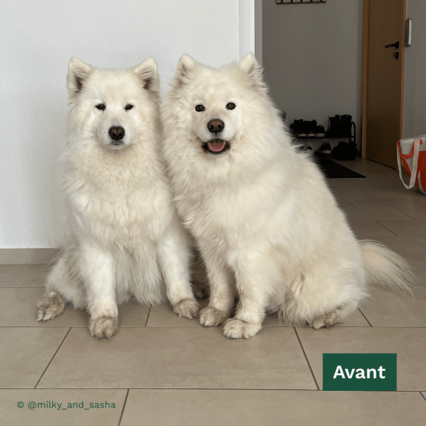 Shampoing hydratation intense chien blanc Tauro Pro Line