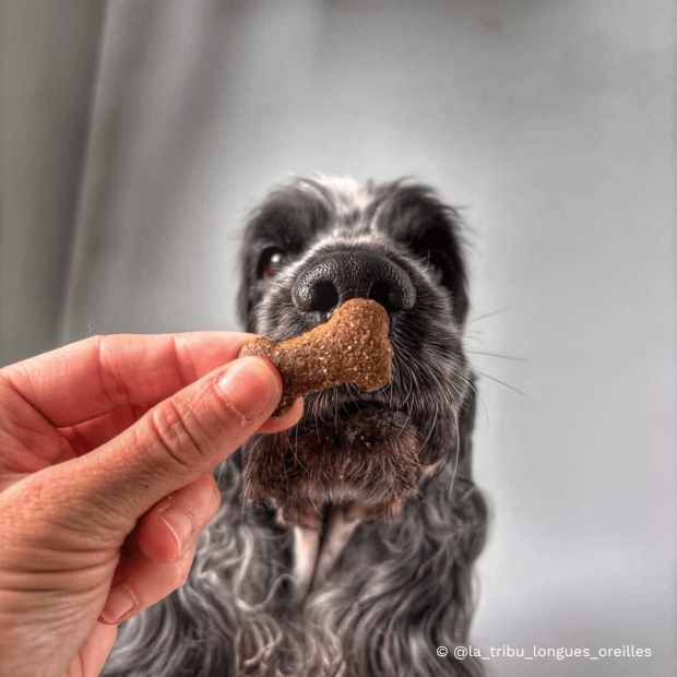 Crunchy bites Arden Grange : bouchées croquantes, friandise