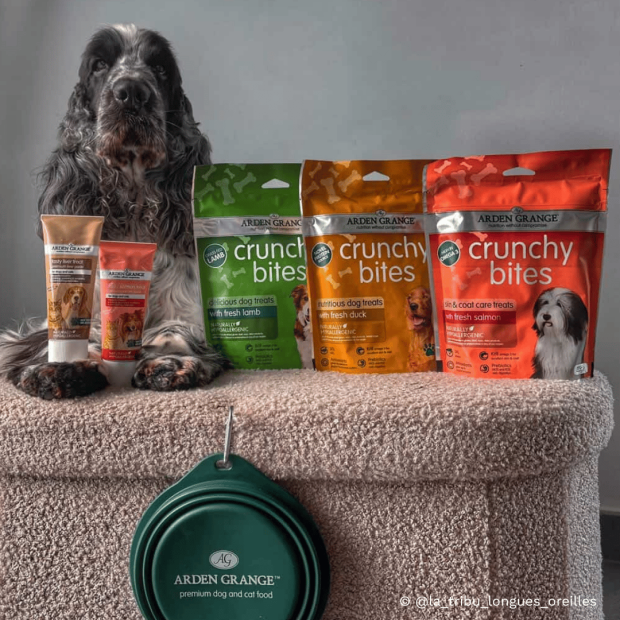 Crunchy bites Arden Grange : bouchées croquantes, friandise