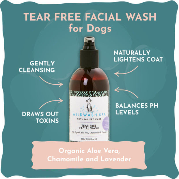 Nettoyant visage pour chien Wildwash