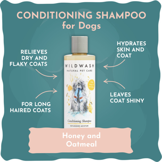 Shampoing revitalisant au miel pour peaux sèches Wildwash