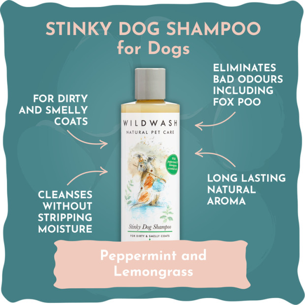 Shampoing Stinky dog anti odeurs Wildwash