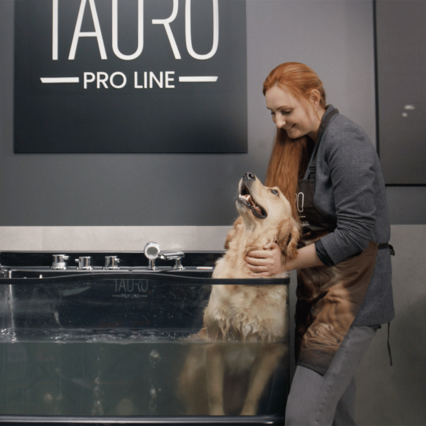 Baignoire Ozone Spa Tauro Pro Line