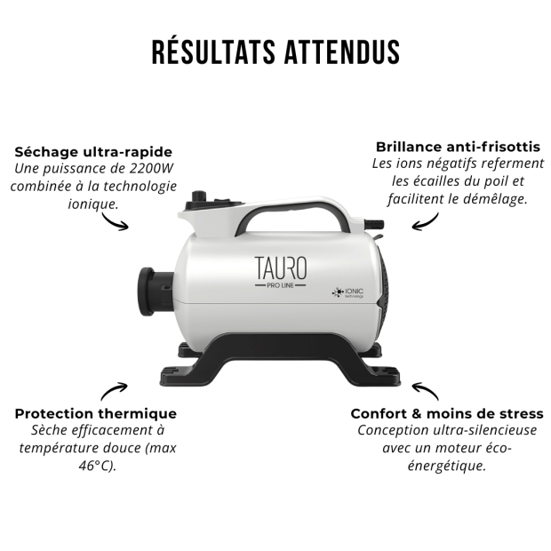 Séchoir pulseur Tauro Pro Line avec technologie ions