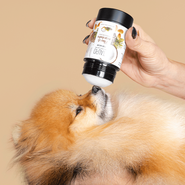 Stick truffe et coussinets Hydratant - Tauro Pro Line