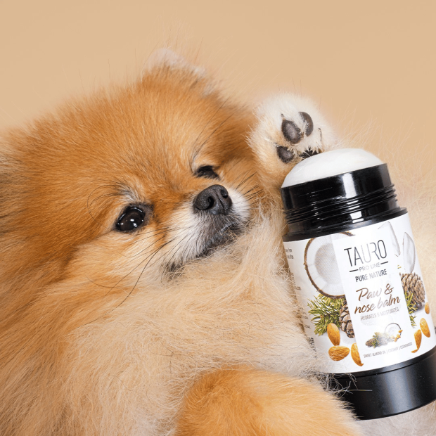 Stick truffe et coussinets Hydratant - Tauro Pro Line