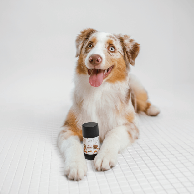 Stick truffe et coussinets Hydratant - Tauro Pro Line