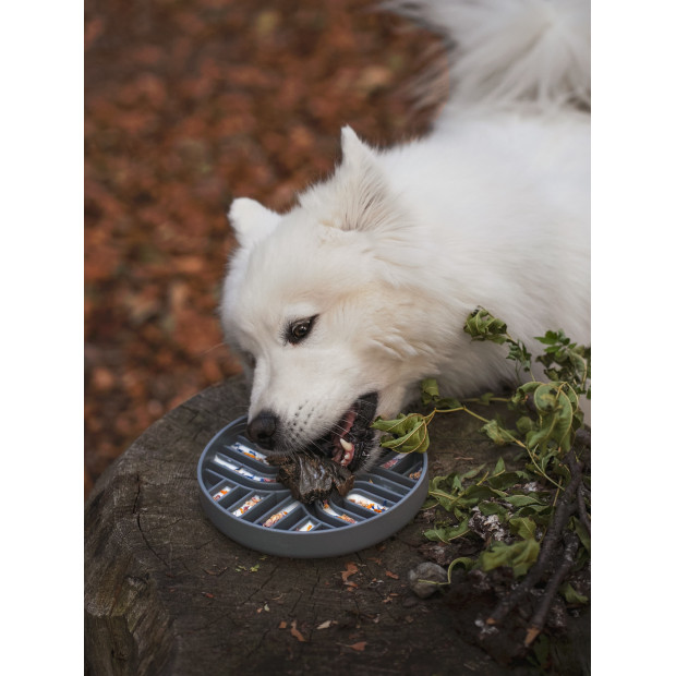 Bol Anti-Glouton Chien en Silicone sans BPA Lovin'Dog