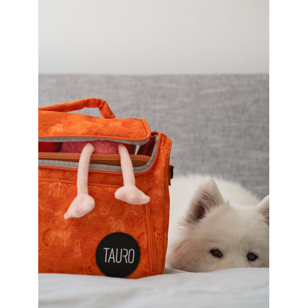 Peluche flamant rose Misoko : jouet doux pour chien