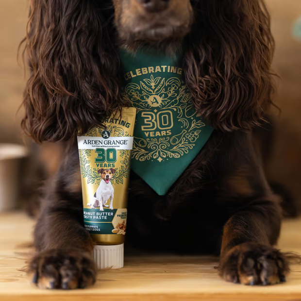 Crème de foie de porc pour chien de marque Arden Grange