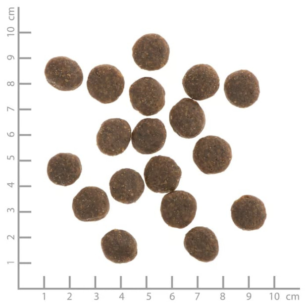 Croquettes Saumon & Truite Chien Sensible Wildes Land