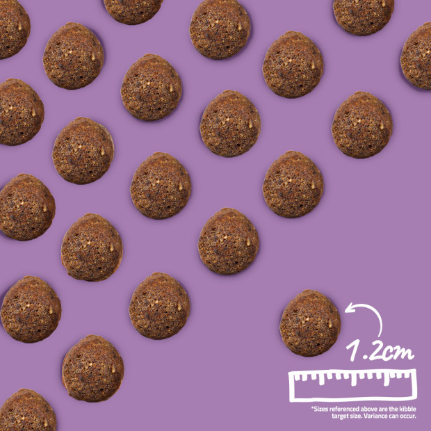 Aspect-croquettes-Advanced-calming-anti-stress-Arden-Grange