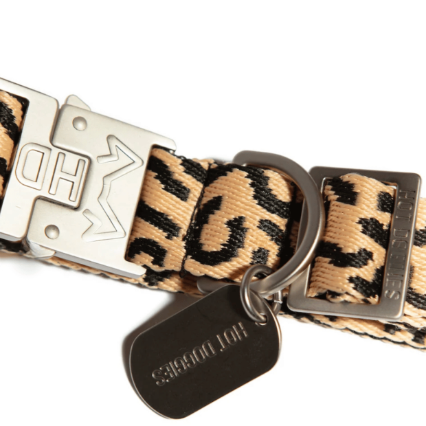 Collier Chien Éco-responsable Coco Noir Hot Doggies