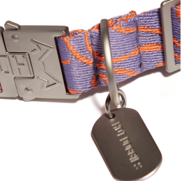 Collier Chien Éco-responsable Lily Coral Hot Doggies