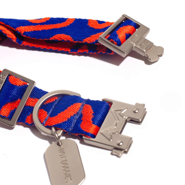 Collier Chien Éco-responsable Rocky Electric Hot Doggies
