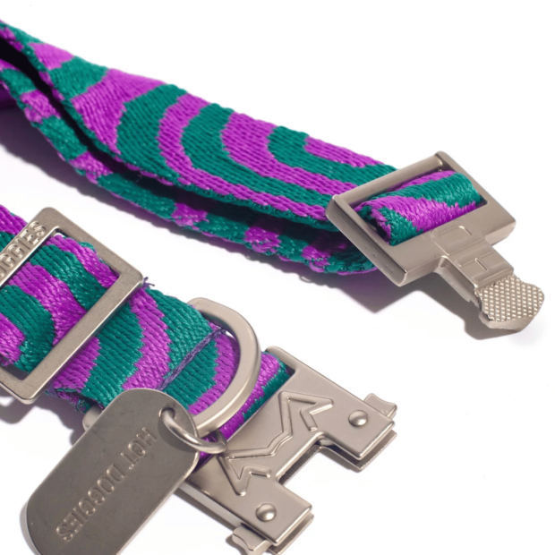 Collier Chien Éco-responsable Lola Groove Hot Doggies