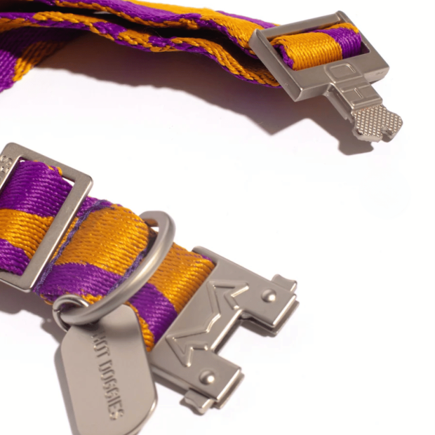 Collier Chien Écoresponsable Bonny Plum Hot Doggies