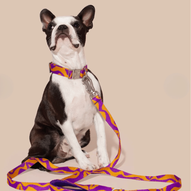 Collier Chien Écoresponsable Bonny Plum Hot Doggies