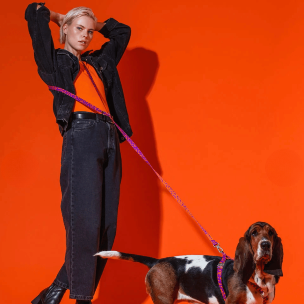 Laisse Mains Libres Chien Poppy Sunrise Hot Doggies