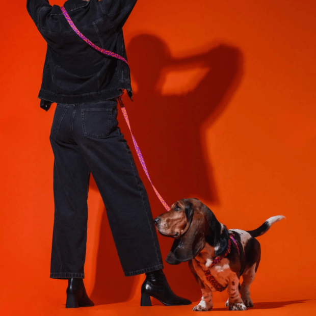 Laisse Mains Libres Chien Poppy Sunrise Hot Doggies