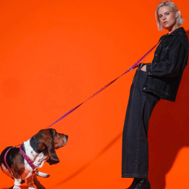 Laisse Mains Libres Chien Poppy Sunrise Hot Doggies