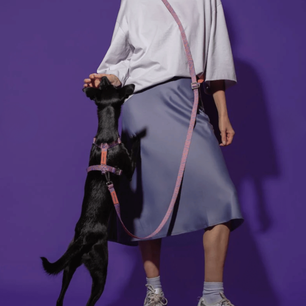 Laisse Mains Libres Chien Lily Coral Hot Doggies