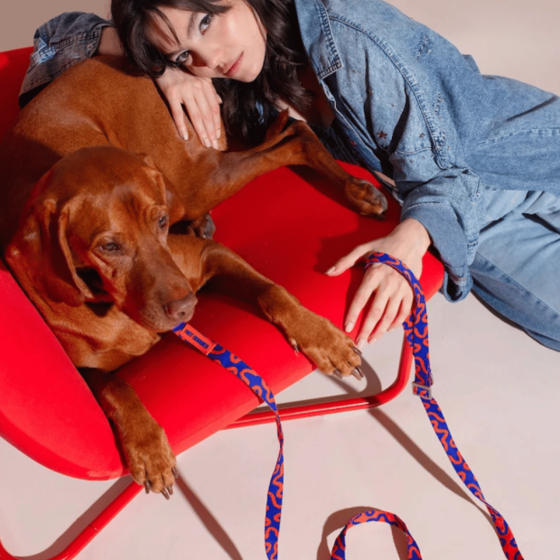 Laisse Mains Libres Chien Rocky Electric Hot Doggies