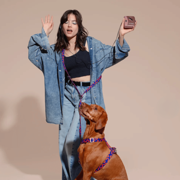 Laisse Mains Libres Chien Rocky Electric Hot Doggies
