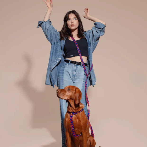 Laisse Mains Libres Chien Rocky Electric Hot Doggies