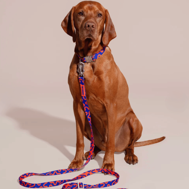 Laisse Mains Libres Chien Rocky Electric Hot Doggies