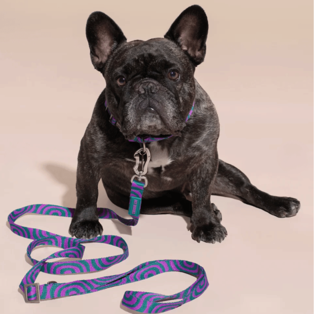 Laisse Mains Libres Chien Lola Groove Hot Doggies