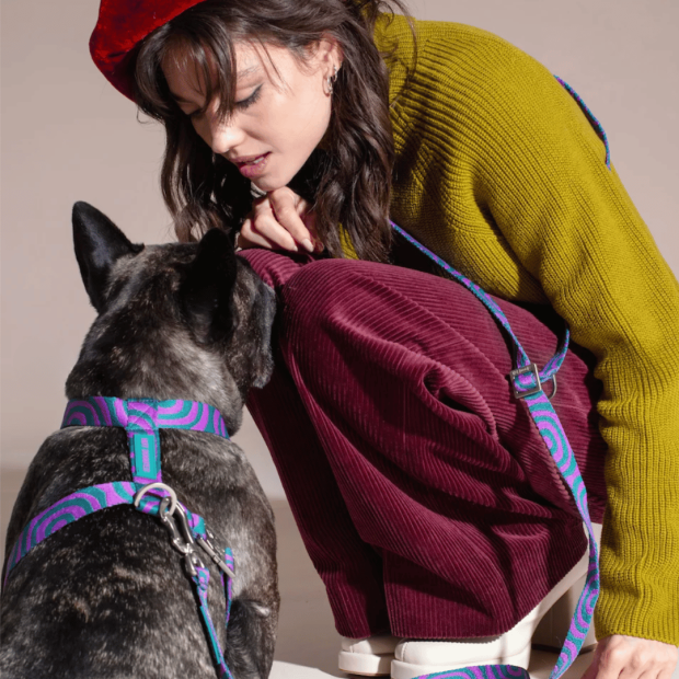 Laisse Mains Libres Chien Lola Groove Hot Doggies