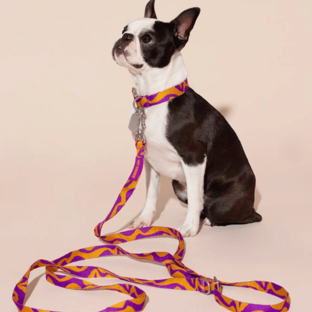 Laisse Mains Libres Chien Bonny Plum Hot Doggies