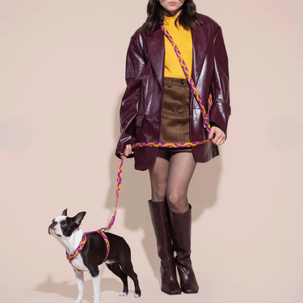 Laisse Mains Libres Chien Bonny Plum Hot Doggies