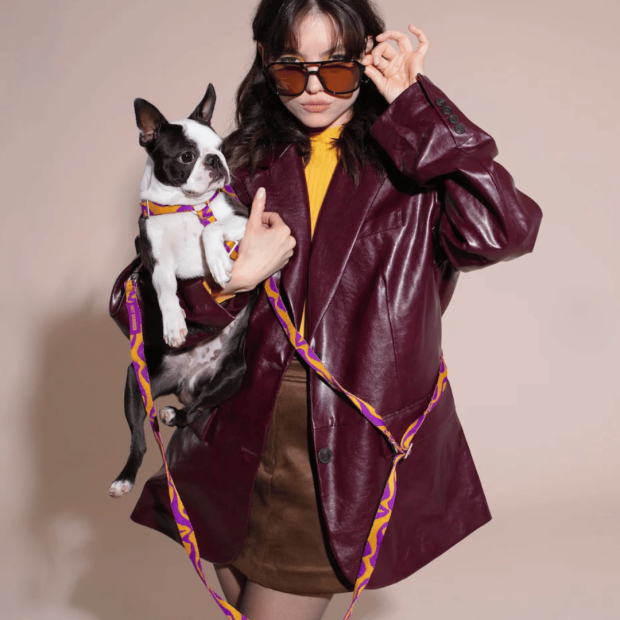 Laisse Mains Libres Chien Bonny Plum Hot Doggies