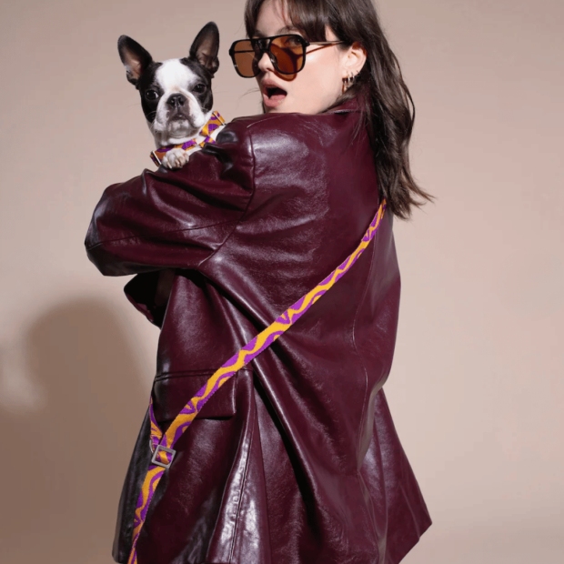 Laisse Mains Libres Chien Bonny Plum Hot Doggies
